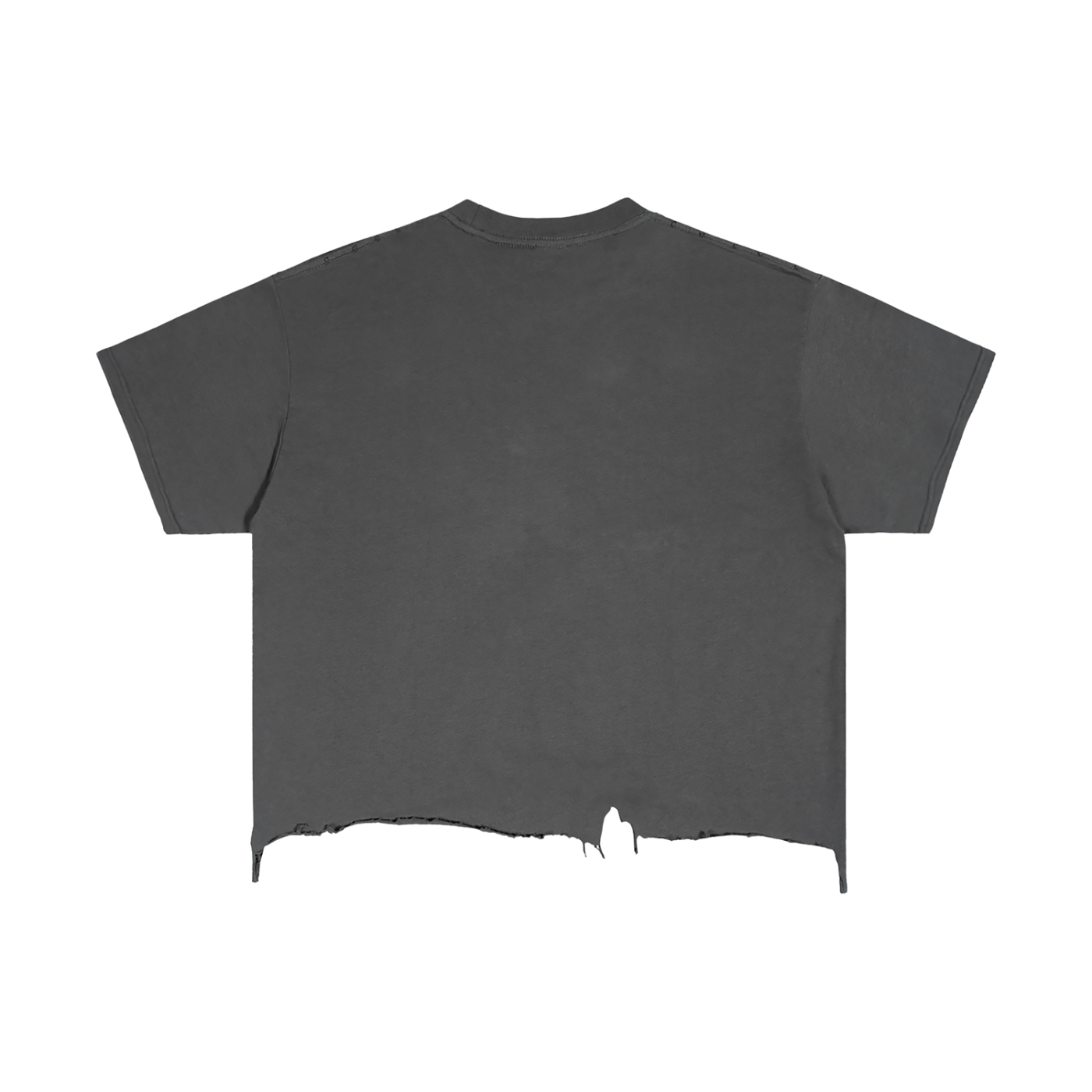 Ripped T-Shirt